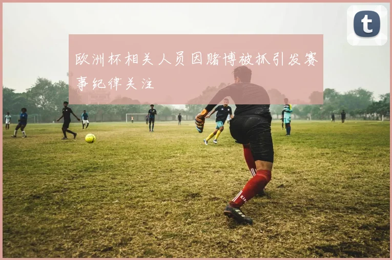 欧洲杯相关人员因赌博被抓引发赛事纪律关注
