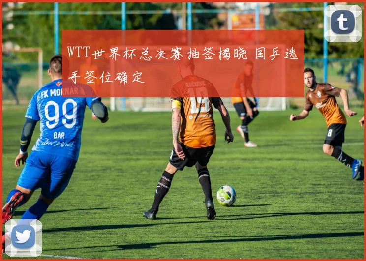 WTT世界杯总决赛抽签揭晓 国乒选手签位确定